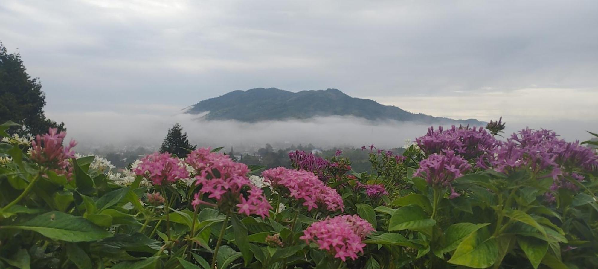 Homestay Chan Que 바오록 외부 사진